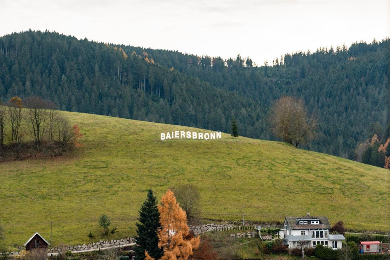Apartament Haus Irene Gemuetlich Moderner Schwarzwald Baiersbronn Zewnętrze zdjęcie