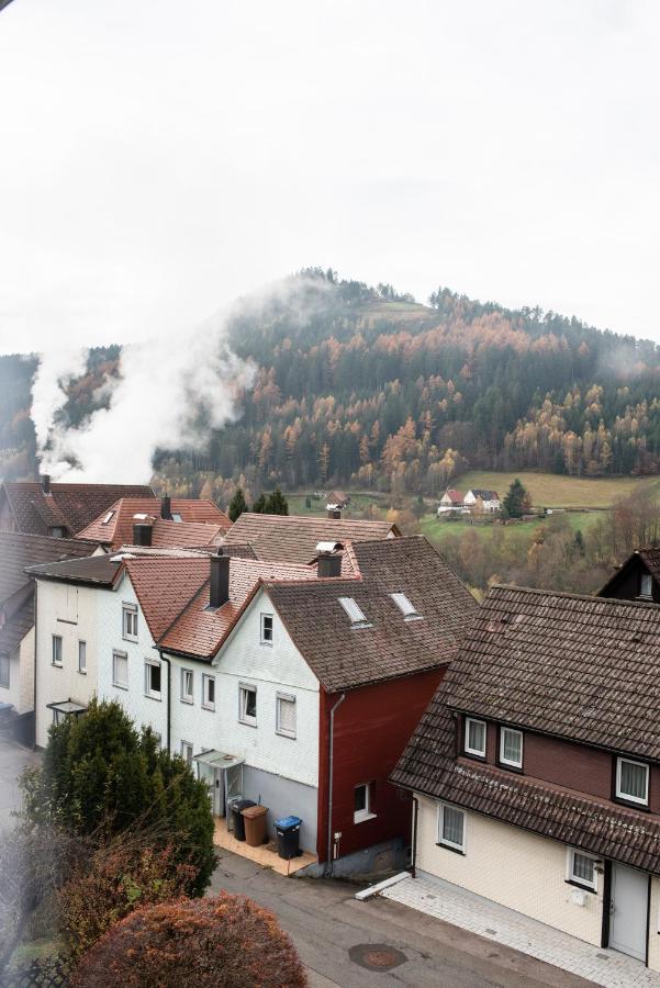 Apartament Haus Irene Gemuetlich Moderner Schwarzwald Baiersbronn Zewnętrze zdjęcie