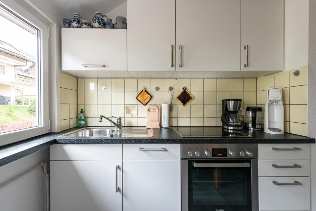 Apartament Haus Irene Gemuetlich Moderner Schwarzwald Baiersbronn Zewnętrze zdjęcie
