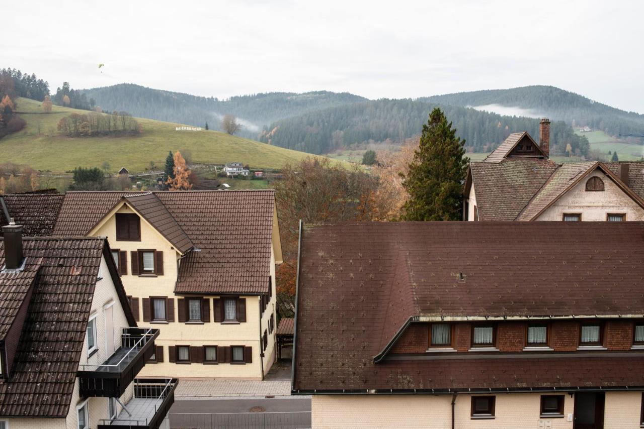 Apartament Haus Irene Gemuetlich Moderner Schwarzwald Baiersbronn Zewnętrze zdjęcie